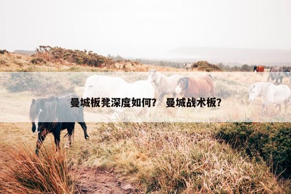 曼城板凳深度如何？ 曼城战术板？