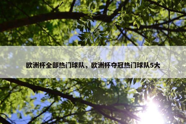 欧洲杯全部热门球队，欧洲杯夺冠热门球队5大