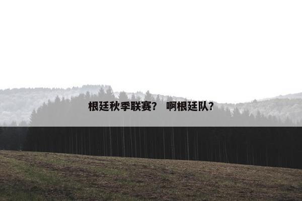 根廷秋季联赛？ 啊根廷队？