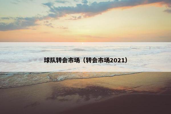 球队转会市场（转会市场2021）