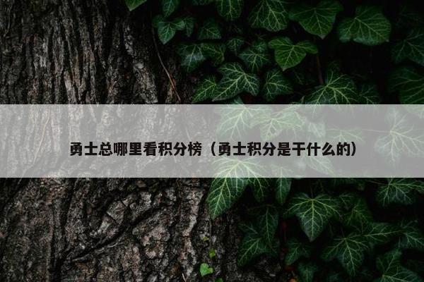 勇士总哪里看积分榜（勇士积分是干什么的）