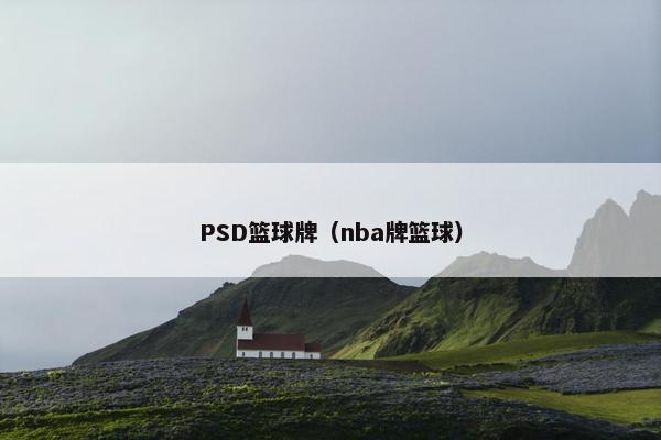 PSD篮球牌(nba牌篮球) PSD篮球牌(nba牌篮球)
