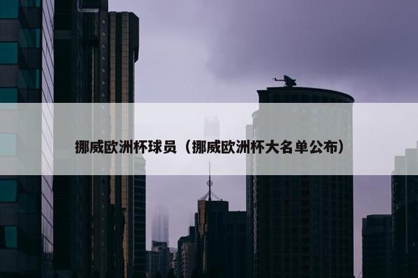 挪威欧洲杯球员（挪威欧洲杯大名单公布）
