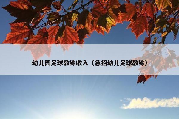 幼儿园足球教练收入（急招幼儿足球教练）