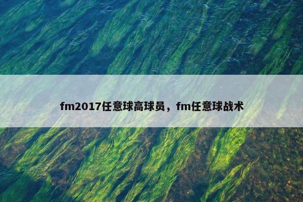 fm2017任意球高球员，fm任意球战术