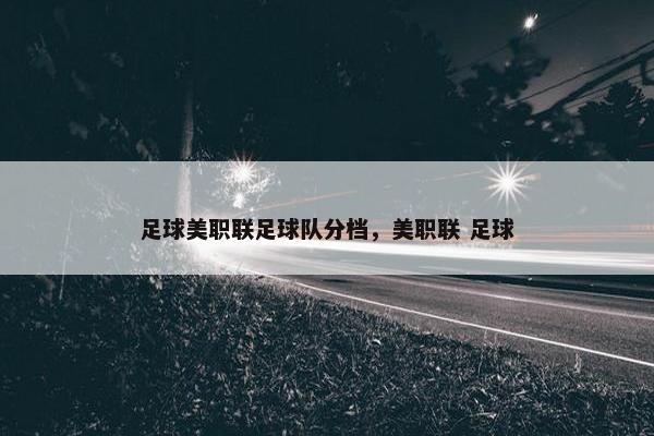 足球美职联足球队分档，美职联 足球