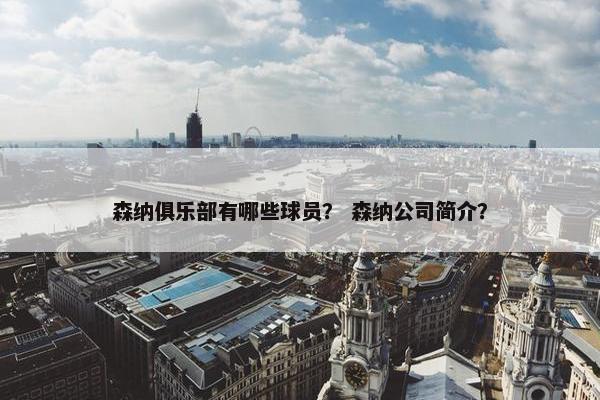 森纳俱乐部有哪些球员？ 森纳公司简介？