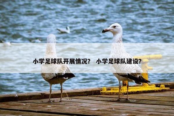 小学足球队开展情况？ 小学足球队建设？