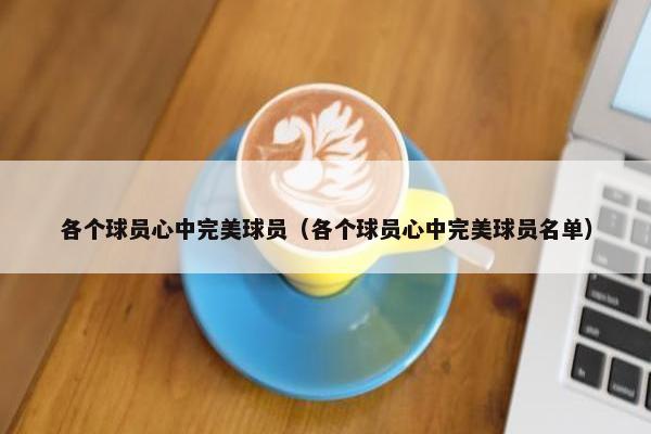各个球员心中完美球员（各个球员心中完美球员名单）