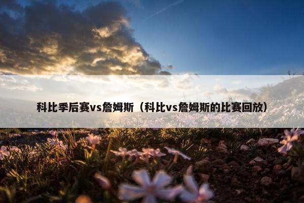 科比季后赛vs詹姆斯（科比vs詹姆斯的比赛回放）