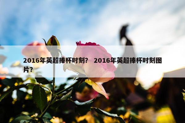 2016年英超捧杯时刻? 2016年英超捧杯时刻图片? 2016年英超捧杯时刻? 2016年英超捧杯时刻图片?