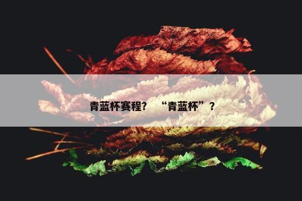 青蓝杯赛程？ “青蓝杯”？