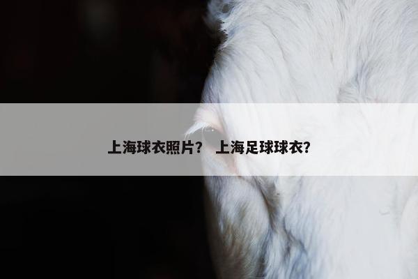 上海球衣照片？ 上海足球球衣？