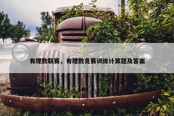 有理数联赛，有理数竞赛训练计算题及答案