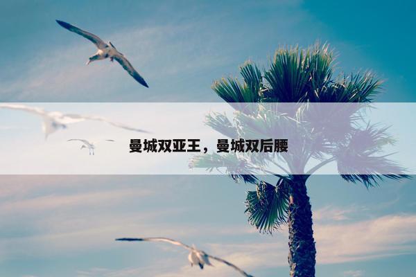 曼城双亚王，曼城双后腰