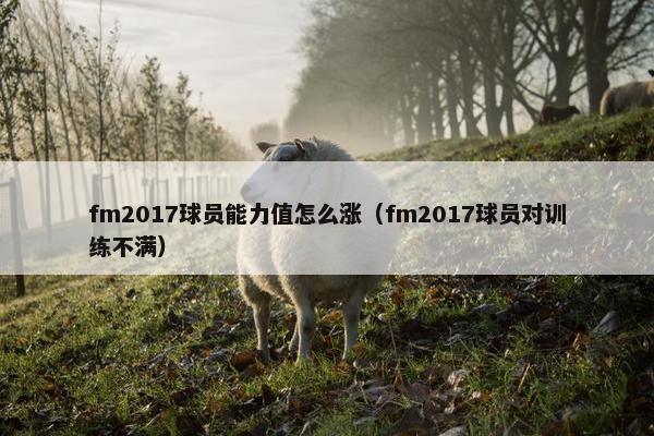 fm2017球员能力值怎么涨(fm2017球员对训练不满) fm2017球员能力值怎么涨(fm2017球员对训练不满)