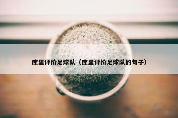 库里评价足球队（库里评价足球队的句子）