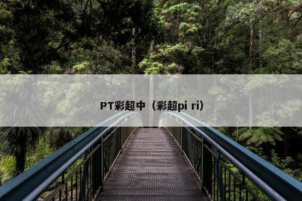 PT彩超中（彩超pi ri）