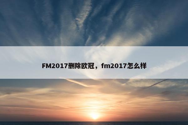 FM2017删除欧冠，fm2017怎么样