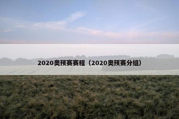 2020奥预赛赛程（2020奥预赛分组）