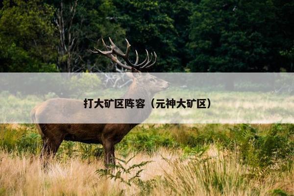 打大矿区阵容（元神大矿区）