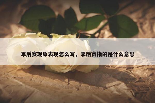 季后赛现象表现怎么写，季后赛指的是什么意思