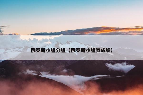 俄罗斯小组分组（俄罗斯小组赛成绩）
