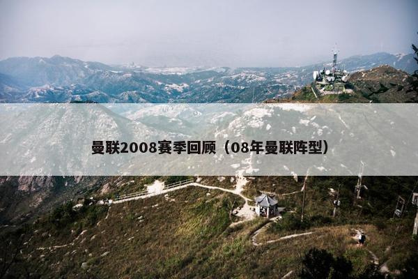 曼联2008赛季回顾（08年曼联阵型）