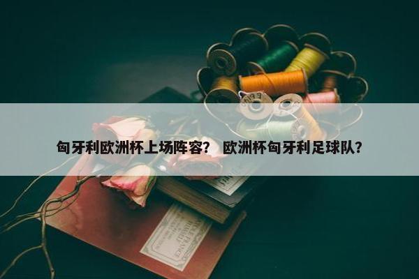 匈牙利欧洲杯上场阵容？ 欧洲杯匈牙利足球队？