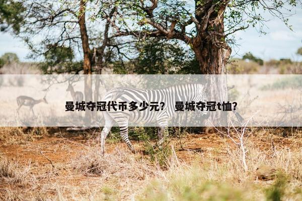 曼城夺冠代币多少元？ 曼城夺冠t恤？