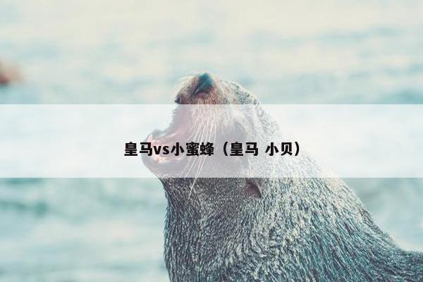 皇马vs小蜜蜂（皇马 小贝）