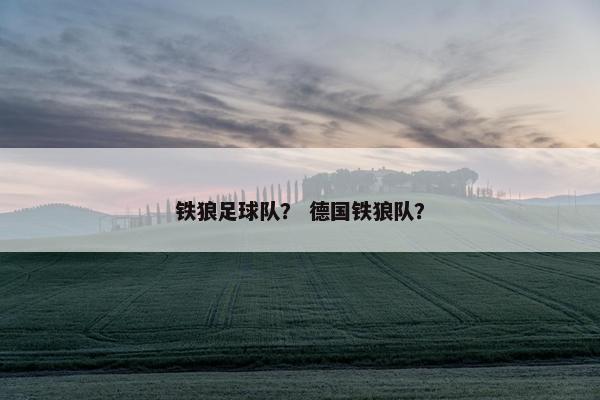 铁狼足球队？ 德国铁狼队？
