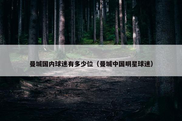 曼城国内球迷有多少位(曼城中国明星球迷) 曼城国内球迷有多少位(曼城中国明星球迷)