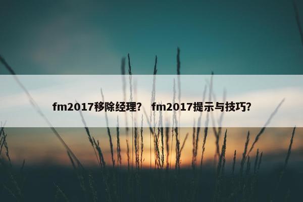 fm2017移除经理？ fm2017提示与技巧？