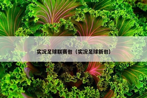 实况足球联赛包(实况足球新包) 实况足球联赛包(实况足球新包)