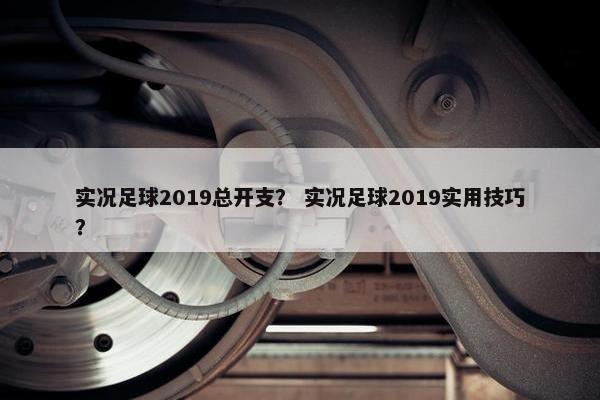 实况足球2019总开支？ 实况足球2019实用技巧？