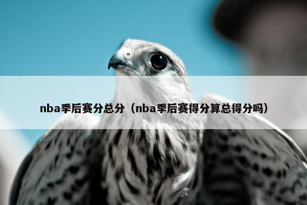 nba季后赛分总分（nba季后赛得分算总得分吗）
