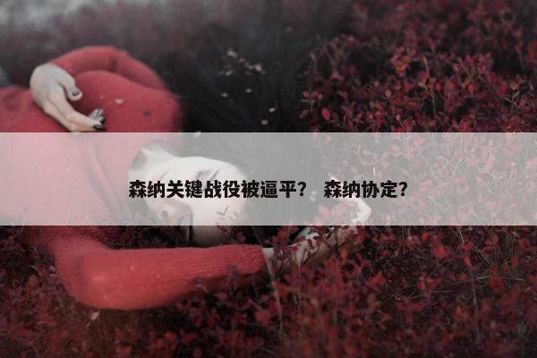 森纳关键战役被逼平？ 森纳协定？