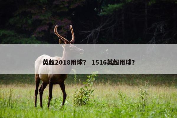 英超2018用球？ 1516英超用球？