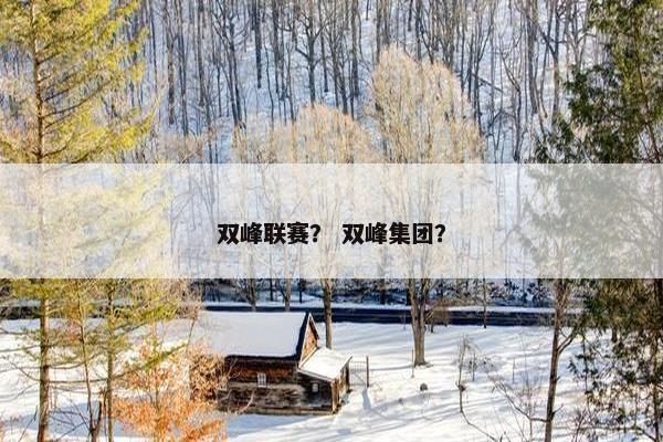 双峰联赛？ 双峰集团？