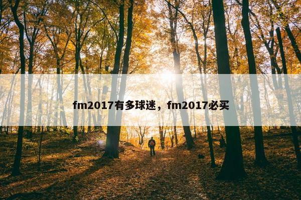 fm2017有多球迷，fm2017必买