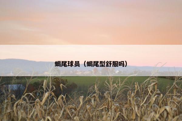 蝎尾球员(蝎尾型舒服吗) 蝎尾球员(蝎尾型舒服吗)