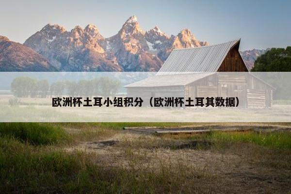 欧洲杯土耳小组积分（欧洲杯土耳其数据）