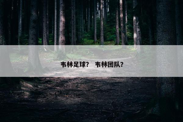 韦林足球？ 韦林团队？