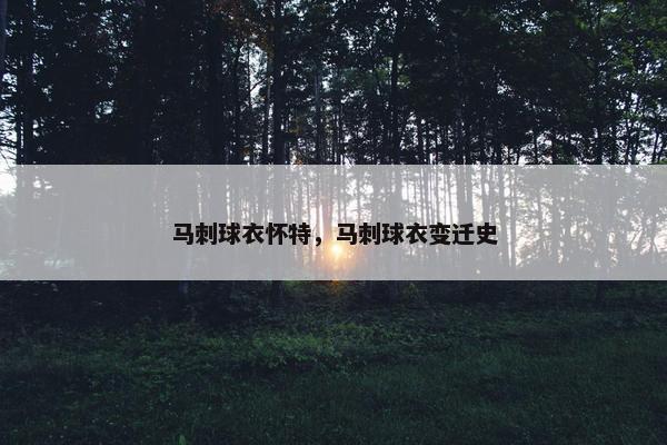 马刺球衣怀特，马刺球衣变迁史