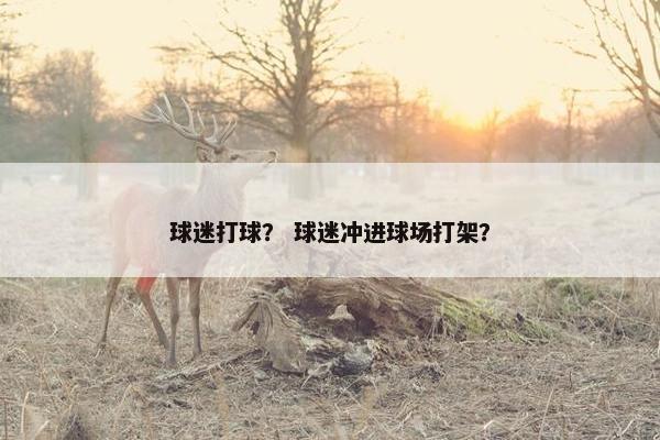 球迷打球? 球迷冲进球场打架? 球迷打球? 球迷冲进球场打架?