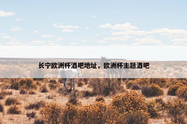 长宁欧洲杯酒吧地址，欧洲杯主题酒吧