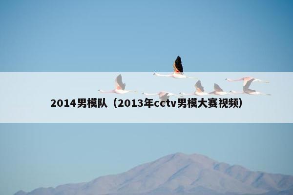 2014男模队（2013年cctv男模大赛视频）