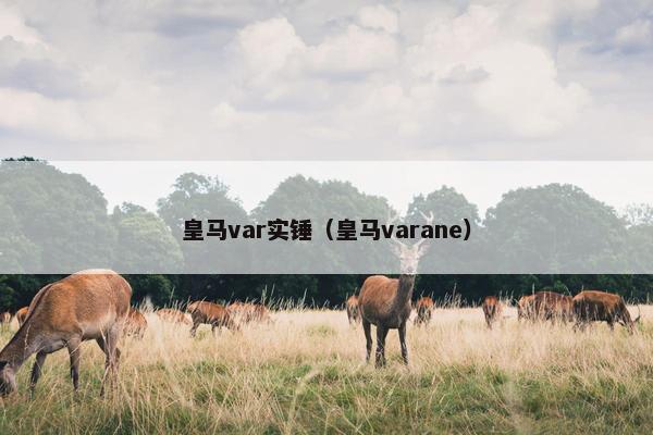 皇马var实锤（皇马varane）