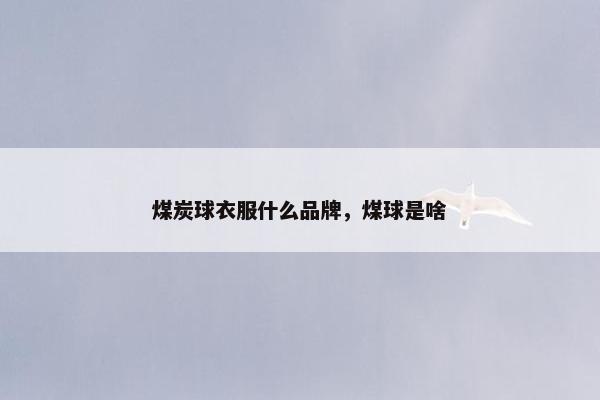 煤炭球衣服什么品牌，煤球是啥
